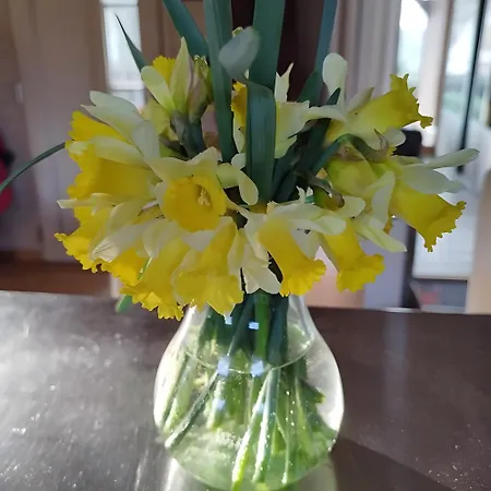 La Bachole - D'hotes 3*